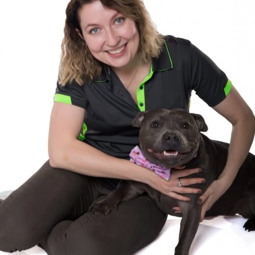 Dog Trainer Inner West Sydney All Areas of Sydney Eazy Dog Training