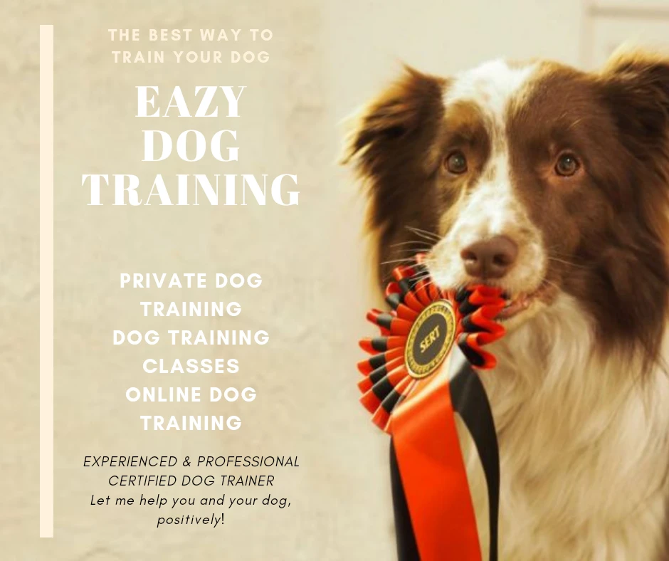 dog obedience training in Sydney