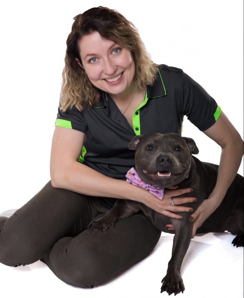 dog training inner west Sydney