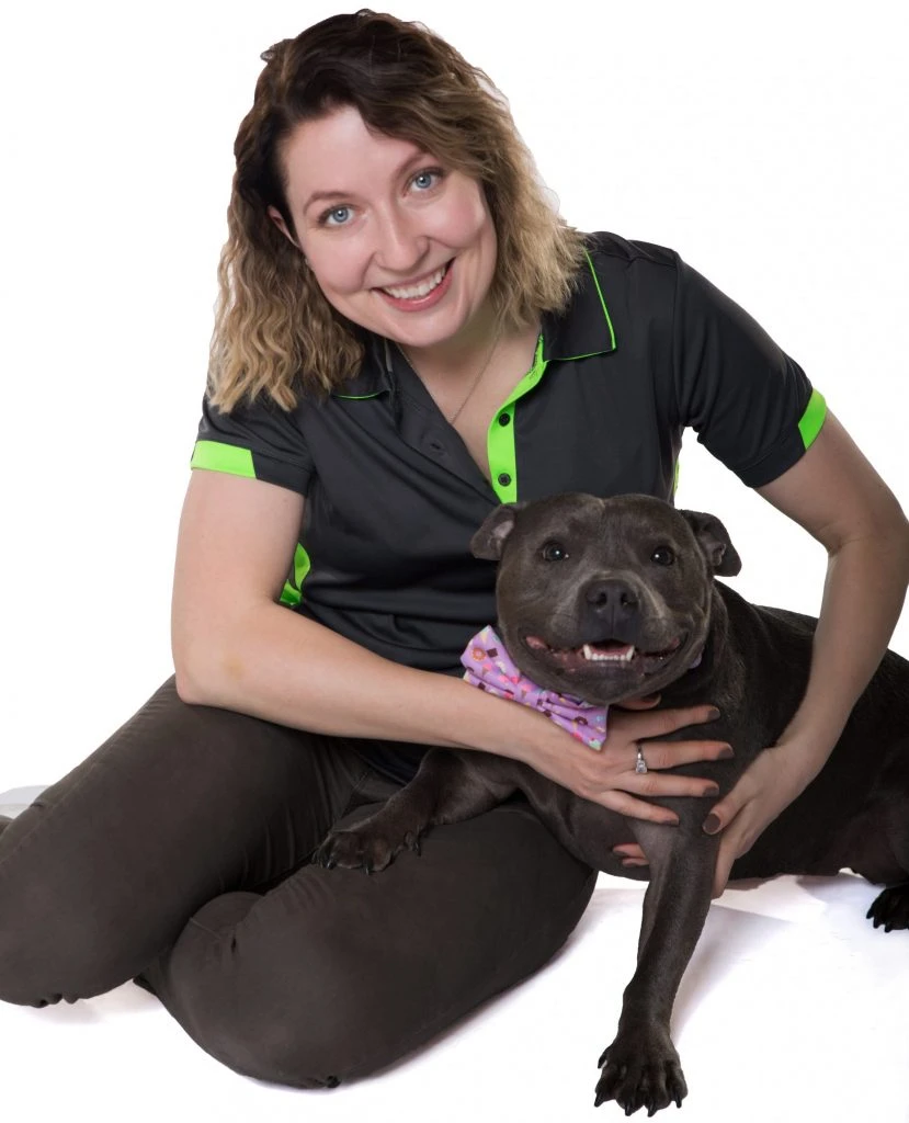 Private Dog Training Sydney Eazy Dog Training Inner West