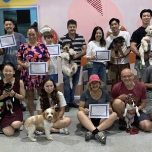 Teen dog class Sydney Eazy Dog Training