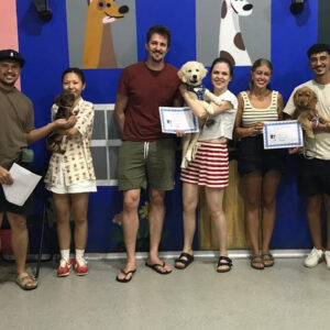 puppy school class Alexandria