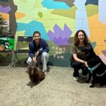 Camperdown obedience class