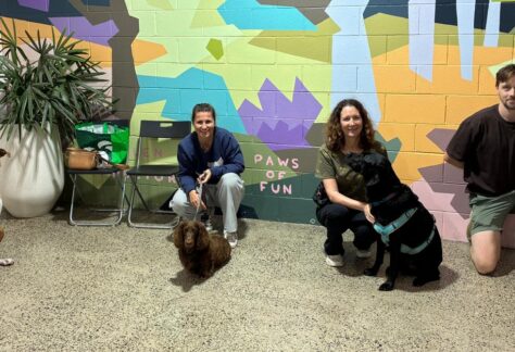 Camperdown obedience class
