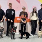 teen dog class Newtown / St Peters