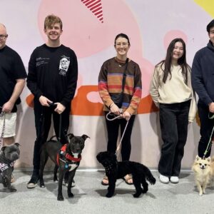teen dog class Newtown / St Peters