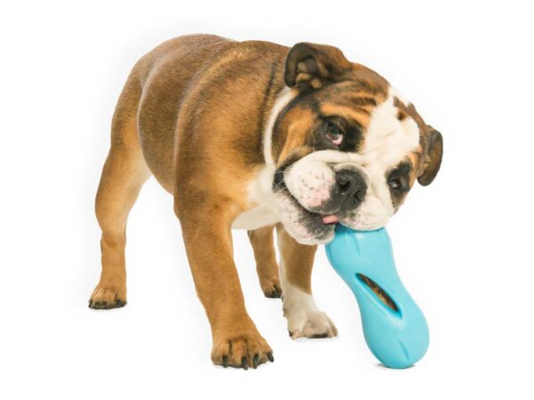West Paw Qwizl Treat Dispensing Dog Toy - Treat Dispensing Dog Toy - Image 4