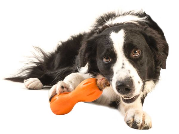 West Paw Qwizl Treat Dispensing Dog Toy - Treat Dispensing Dog Toy - Image 5