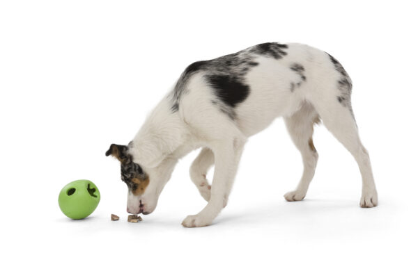 West Paw Rumbl Treat Dispensing Dog Toy - Guaranteed Tough - Image 6
