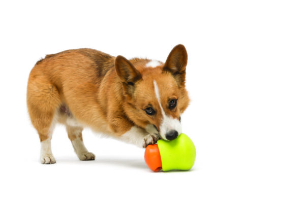 West Paw Toppl Treat Dispensing Wobbling Dog Toy & Food Bowl - Image 8