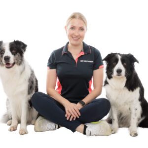 Reactivity Training Program – Weekly Subscription