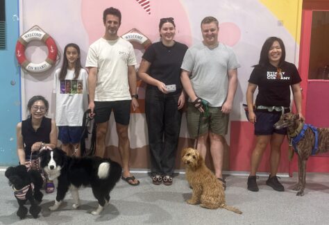 obedience class Marrickville
