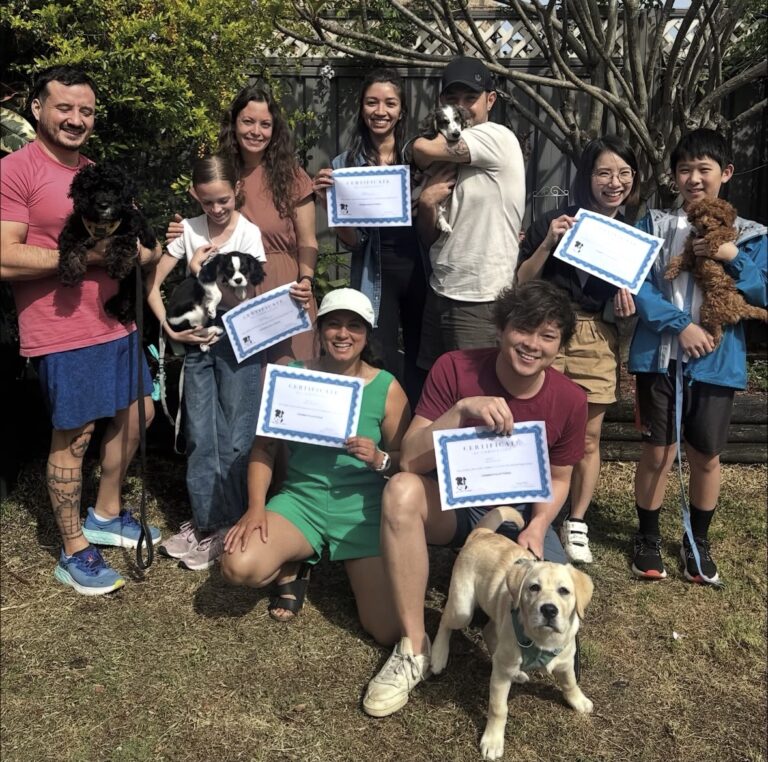 Mascot puppy school