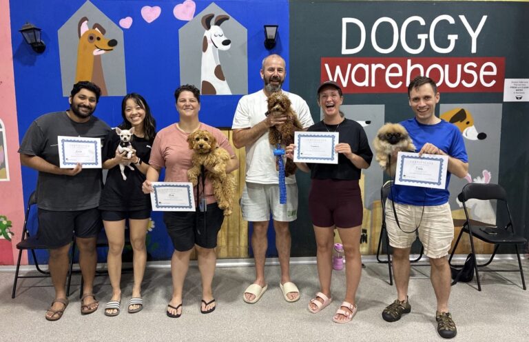 puppy school