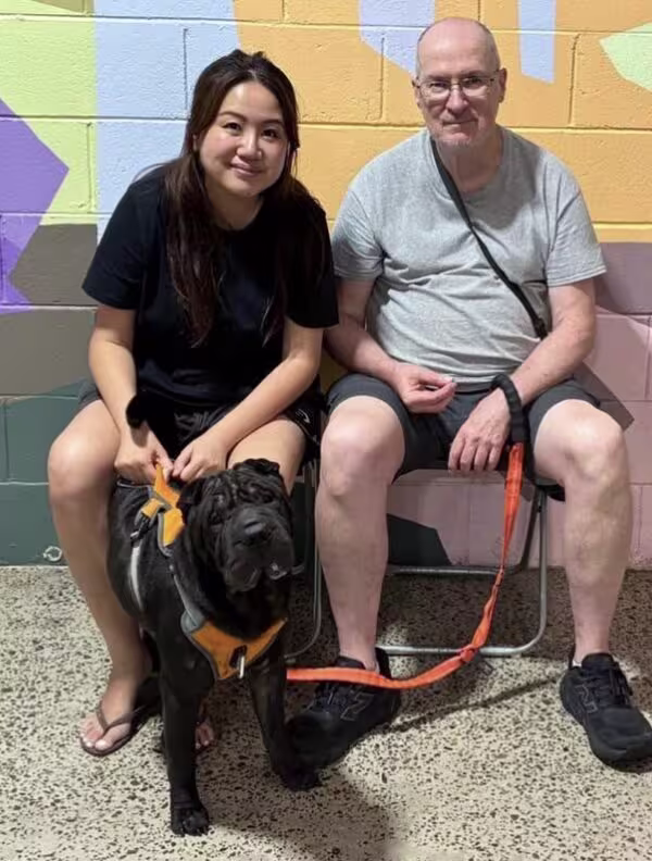 dog obedience training st peters