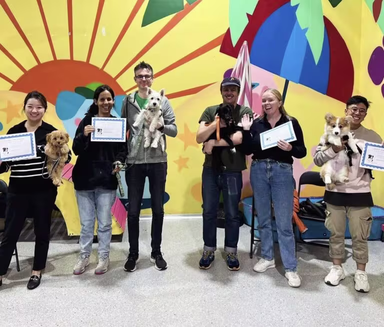 Puppy School Sydney
