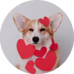 Positive Reinforcement dog trainer