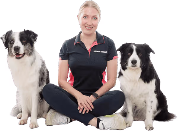 qualified dog trainer Sydney
