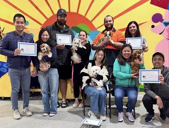 Puppy in a training class