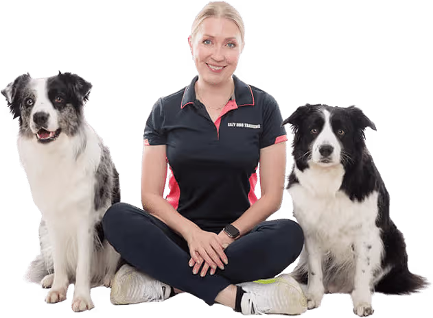 dog manners class Sydney