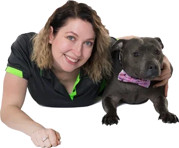 Dog Trainer Sydney City