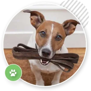 Private Home Training Visit
