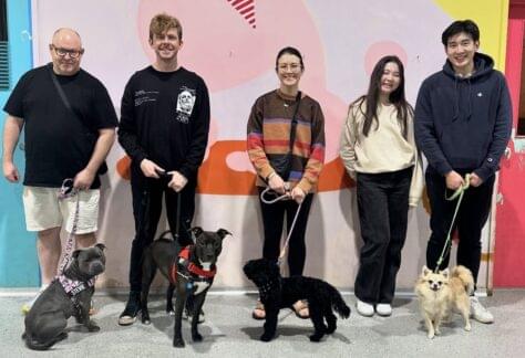 teen dog class Marrickville