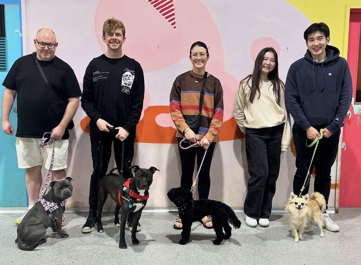 teen dog class Marrickville