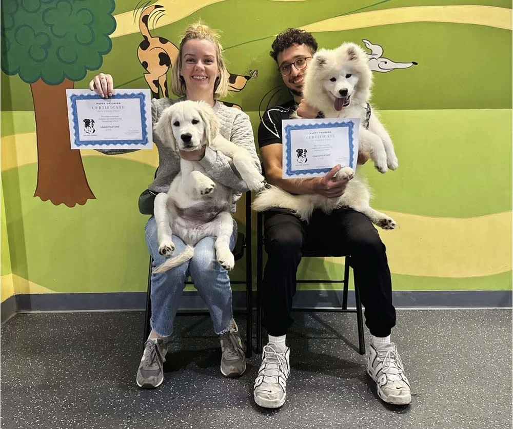 Puppy class training session