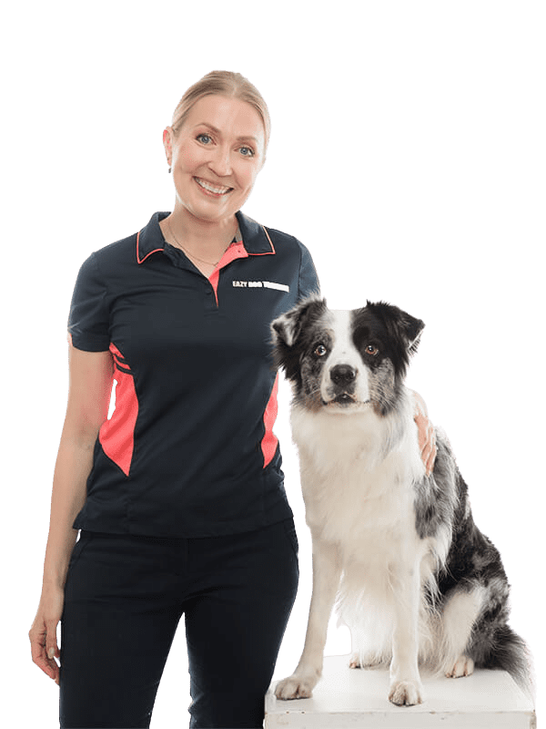 Dog training Center