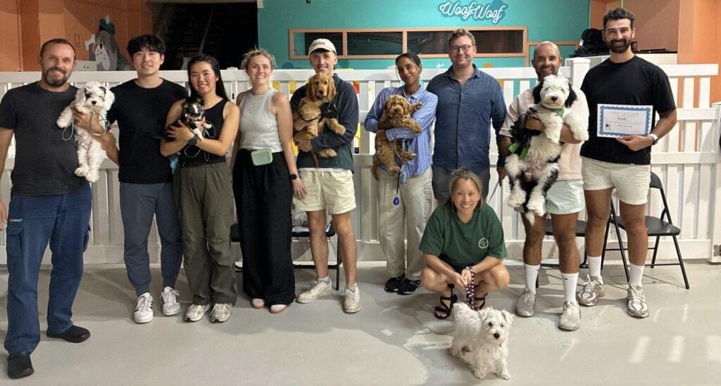 Puppy school Zetland