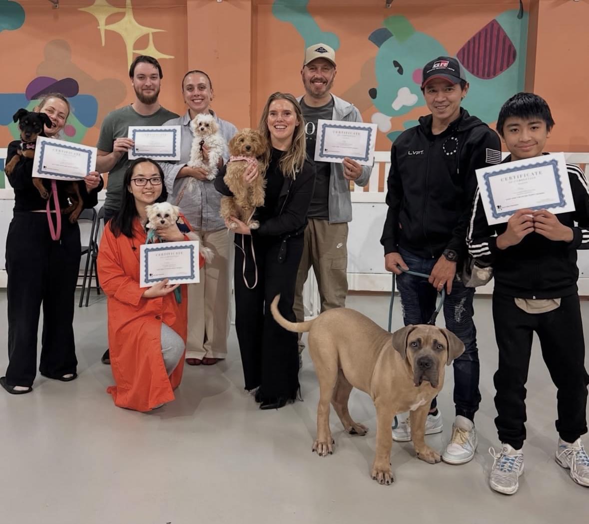 Puppy school Zetland