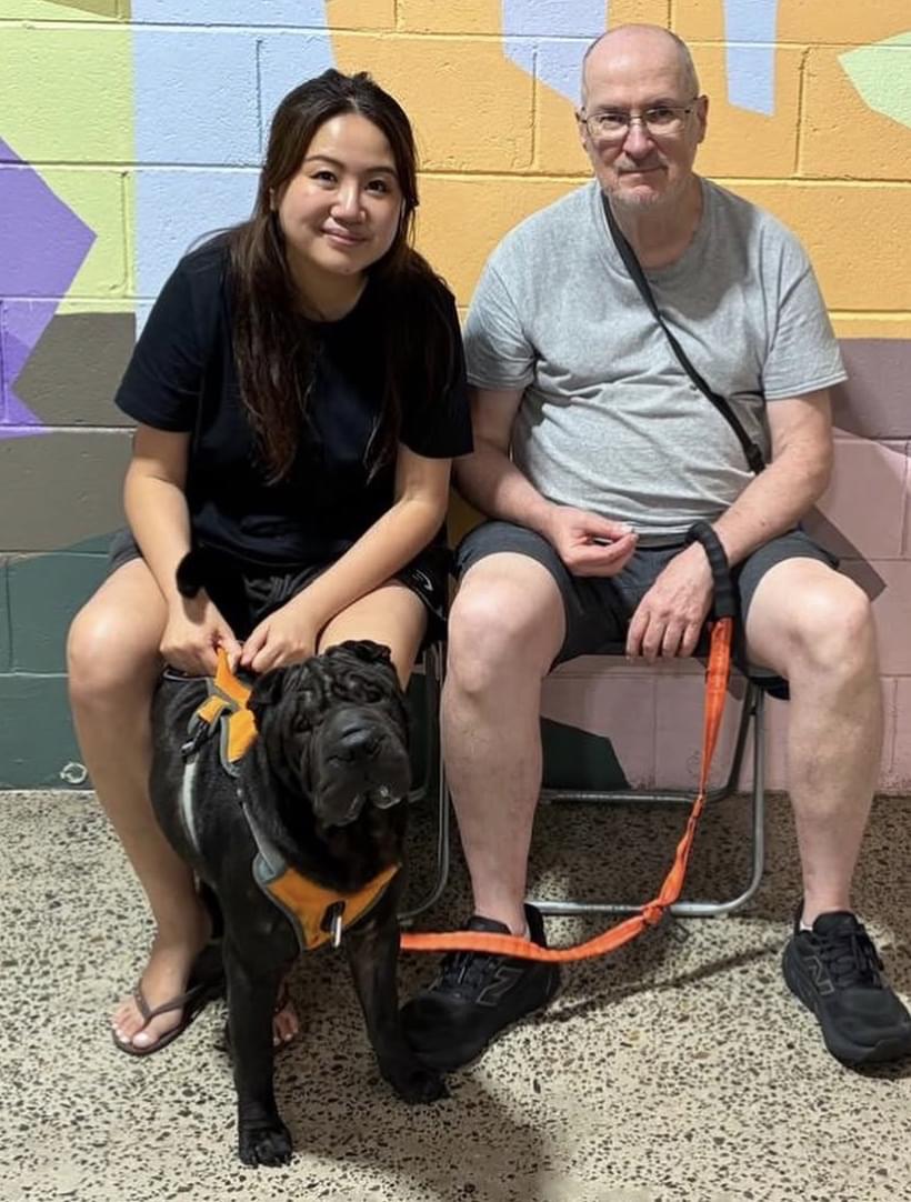 dog obedience training st peters
