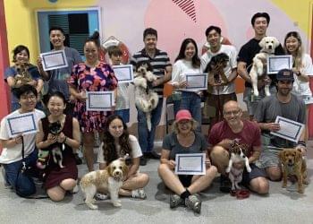 Teen dog class Sydney Eazy Dog Training