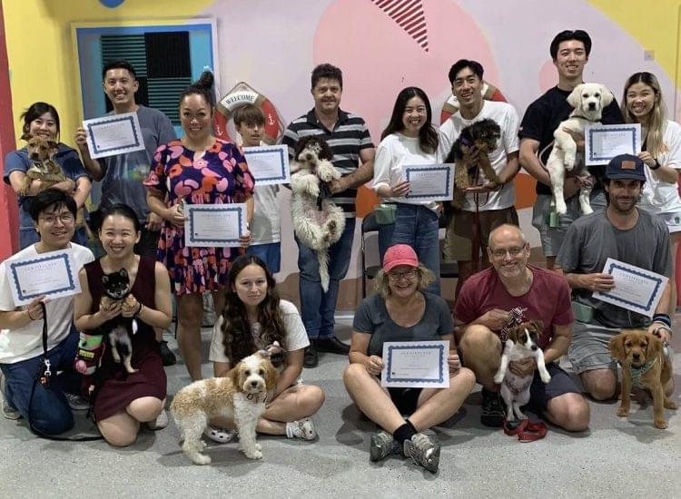 Teen dog class Sydney Eazy Dog Training