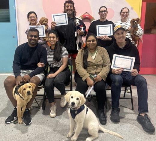 puppy school Sydney