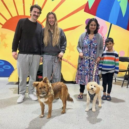 leash training class for dogs Sydney